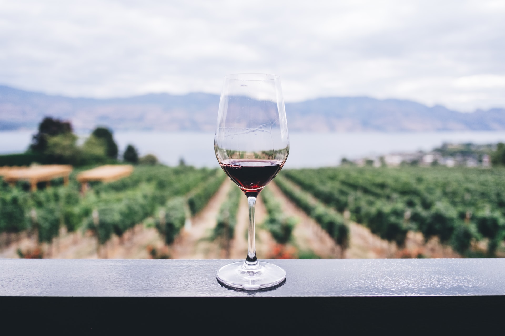 Tips for Enjoying a Wine Tasting Tour